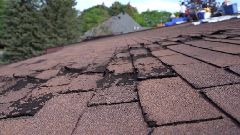 Fast & Reliable Emergency Roof Repairs in Canyon Creek, WA